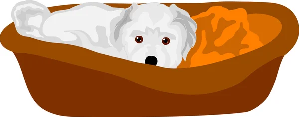 Kleine pup liggen in bed — Stockvector