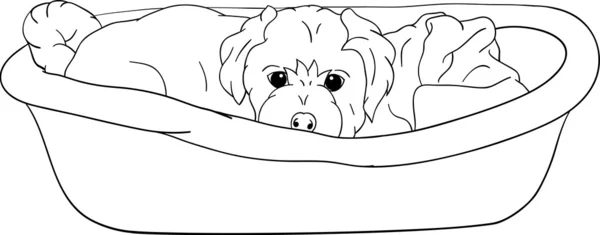 Маленький щенок лежит в кроватке — стоковый вектор
