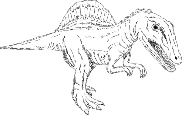 スピノサウルスストックベクター ロイヤリティフリースピノサウルスイラスト Depositphotos