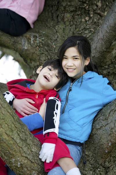 Irmã segurando irmão deficiente na árvore — Fotografia de Stock