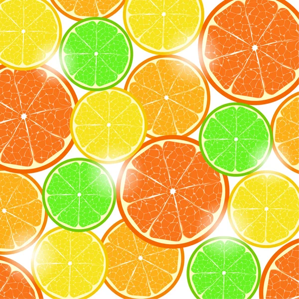 Citrus achtergrond — Stockvector