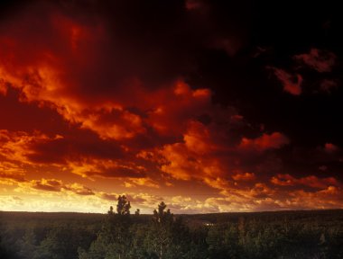 Ominous crimson sky. clipart