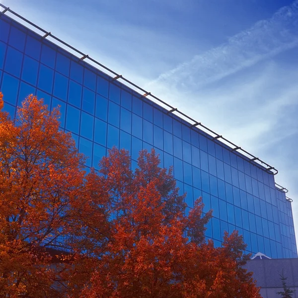 Оранжевый и синий осенью . — стоковое фото