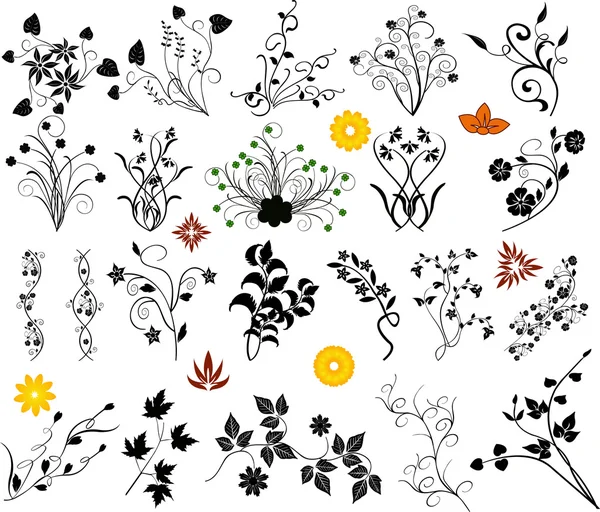 Conjunto de elementos florales vector — Archivo Imágenes Vectoriales