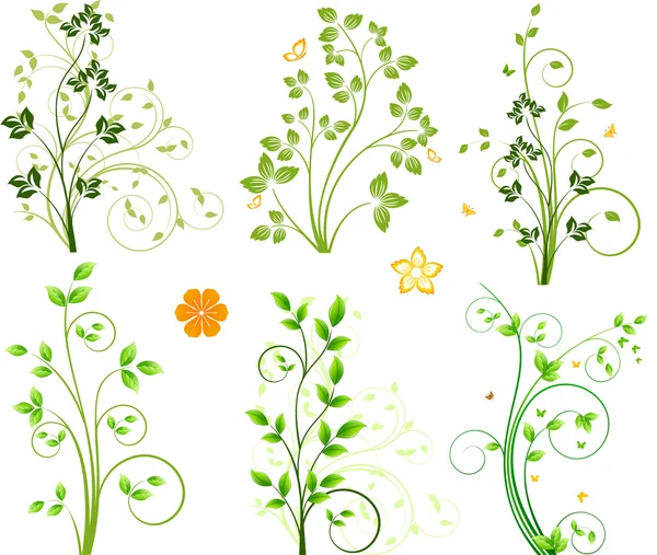 Conjunto de diseño floral — Archivo Imágenes Vectoriales