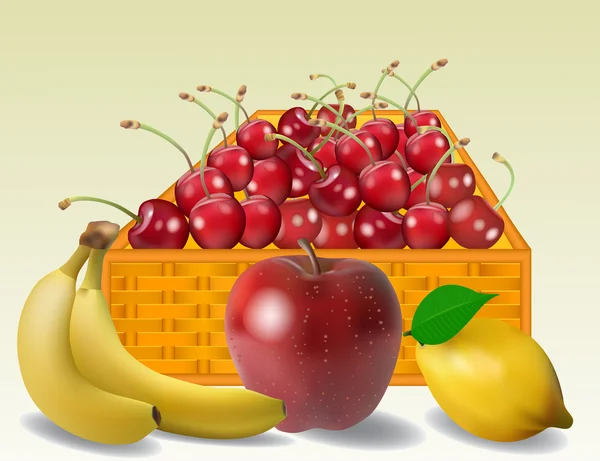 Fruits vector — Stock Vector