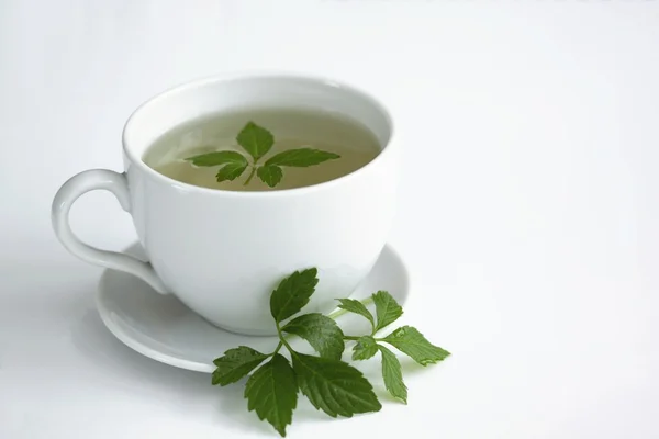 Chá de jiaogulano / Gynostemma pentphyllum / — Fotografia de Stock