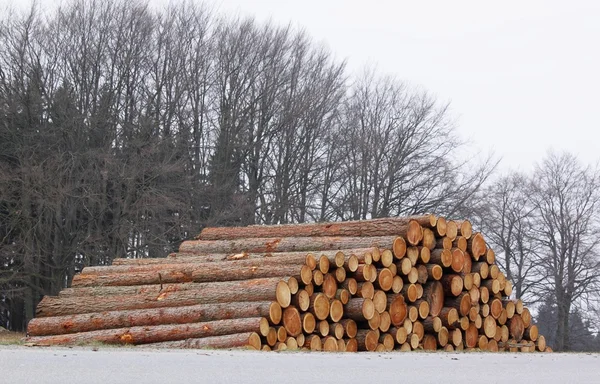 Uppsamling av trä — Stockfoto