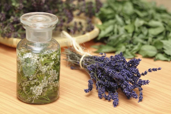 Medicinal herbs — Stock Photo, Image