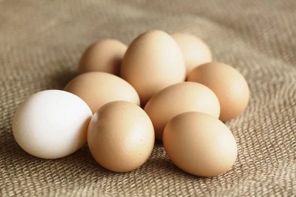 Био-яйца — стоковое фото