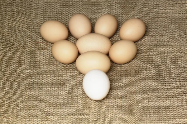 Huevos biológicos —  Fotos de Stock
