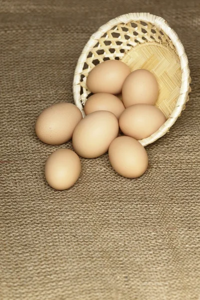 Bio eieren — Stockfoto