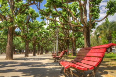 Relax on apark bench clipart