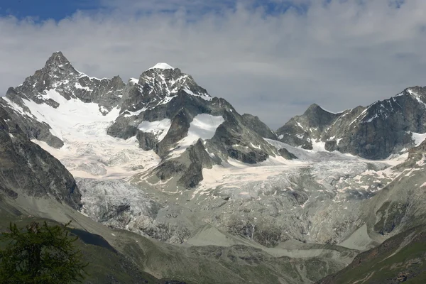 大規模な氷河 — ストック写真
