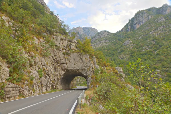 Túnel rodoviário em verde Tara Canyon, Montenegro — Fotografia de Stock