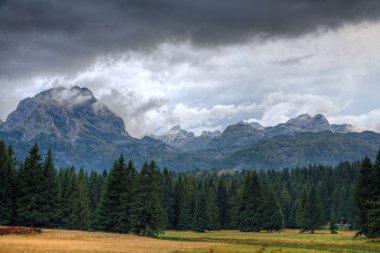 Haunted woods of UNESCO world heritage Park Durmitor, Durmitor clipart