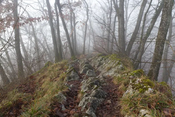 Sentiero escursionistico su crinale con nebbia — Foto Stock