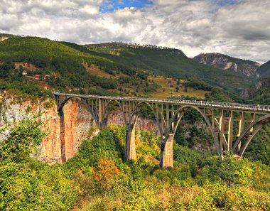 Tara canyon bridge, Montenegro clipart