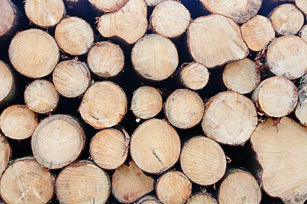 stock image Background of piled trunks