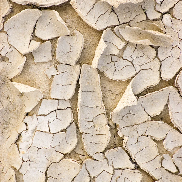 Cracked ground after drought, Dried Surface Macro Closeup — Stock Photo, Image
