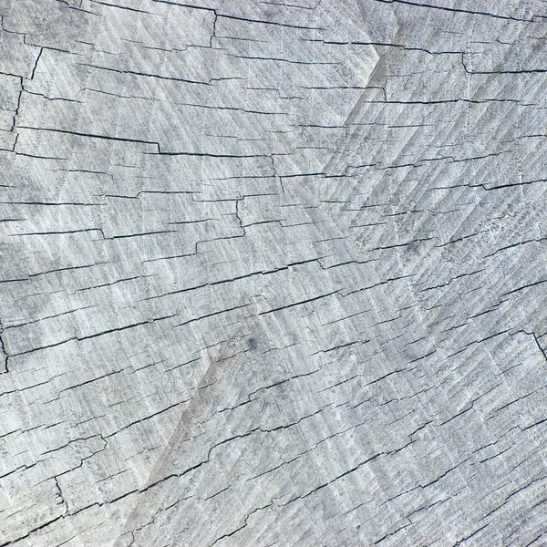 Große natürliche verwitterte graue Baumstumpf geschnitten Textur Hintergrund — Stockfoto