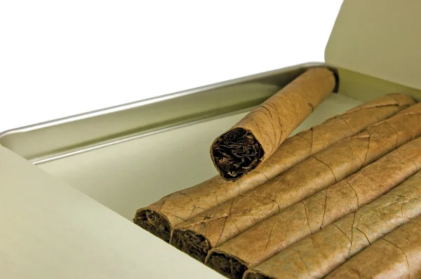 Cigarrlåda med cigarrer närbild, isolerade — Stockfoto