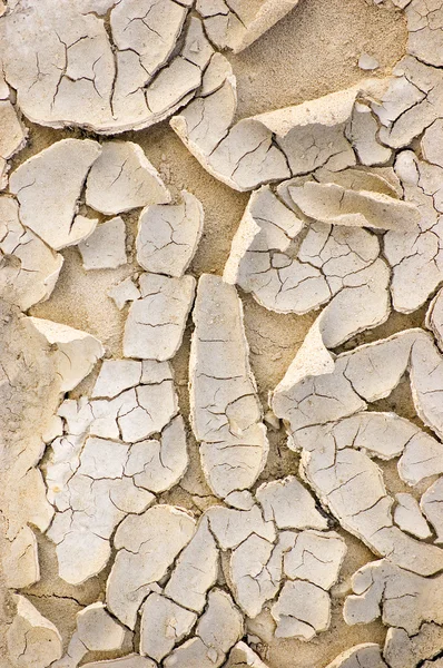 Dried Ground Macro Closeup Texture Background — Stock Photo, Image