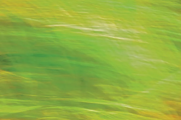 Рух розмитий світло трава фон — стокове фото