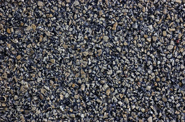 Asfalt pozadí, mokrý asfalt makro detail — Stock fotografie