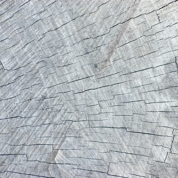 Büyük doğal yıpranmış gri ağaç kütüğü doku arka plan kesmek — Stok fotoğraf