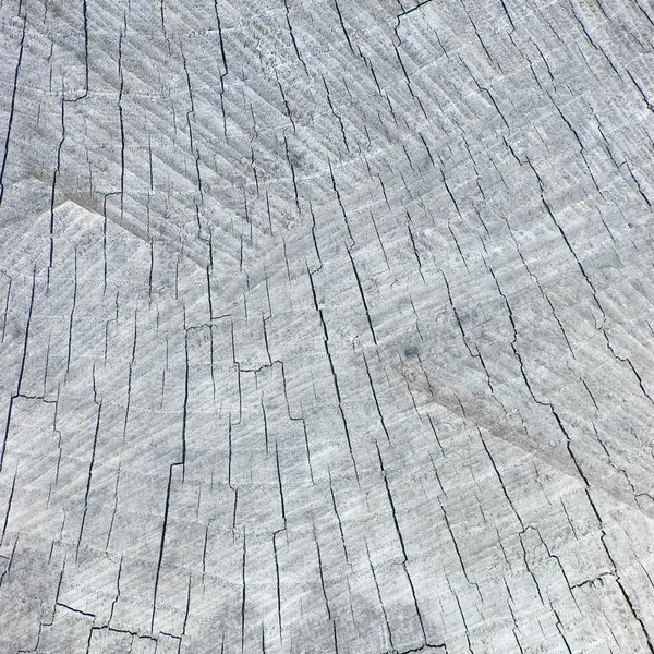 Grote natuurlijke verweerde grijs boomstronk gesneden textuur achtergrond — Stockfoto