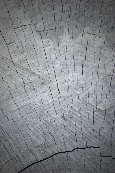 大型天然风化灰色树桩切 vignetted 的纹理 — 图库照片