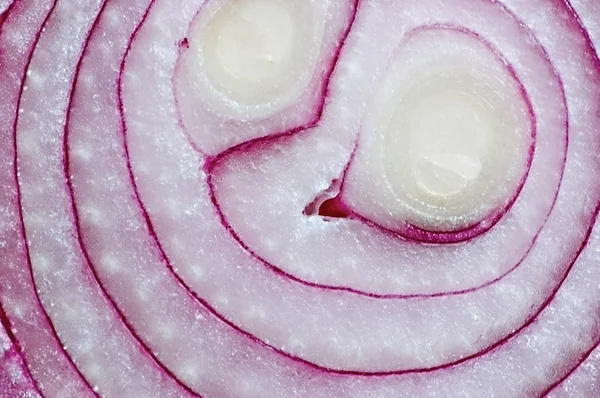 stock image Red Onion Slice cross section macro background closeup