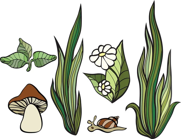 Set di piante isolate su sfondo bianco — Vettoriale Stock