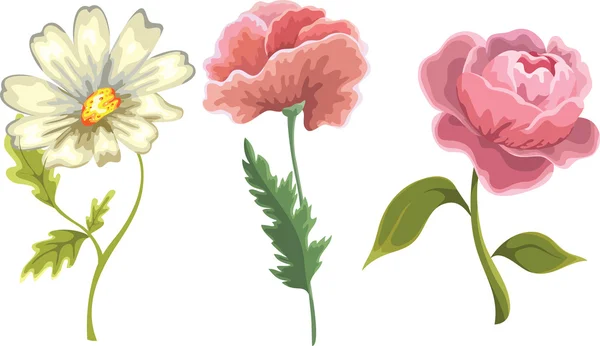 Fleurs isolées sur fond blanc — Image vectorielle