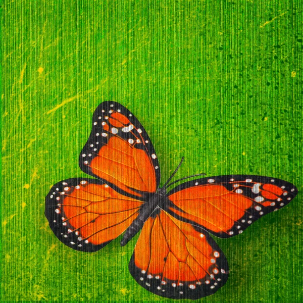 Schmetterlingsdesign — Stockfoto