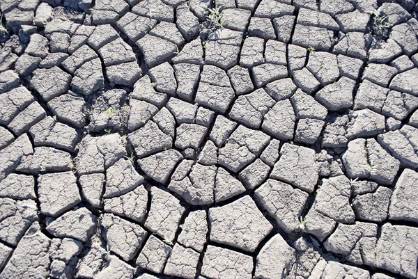 Soil cracked — Stock Photo, Image