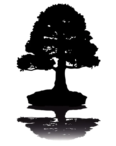 Silhouette dell'albero bonsai giapponese — Vettoriale Stock