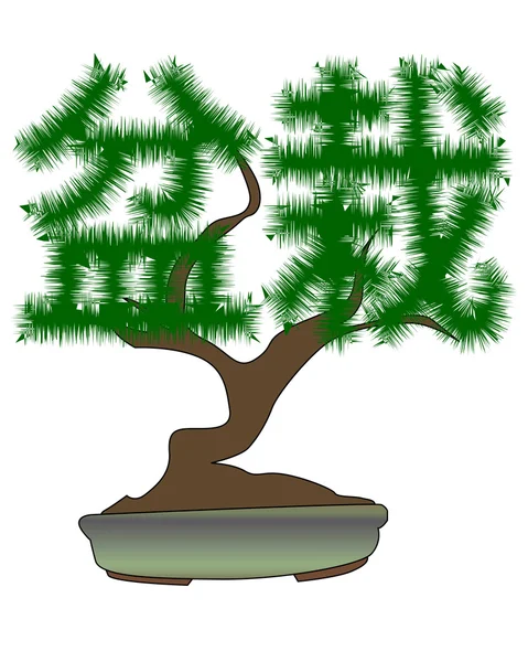 Japán bonsai fa hieroglifák formájában — Stock Vector