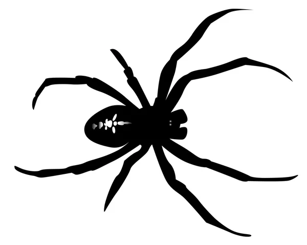 stock vector Black silhouette of a spider