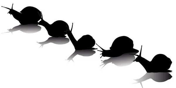 Black silhouettes of the snail — Stock Vector
