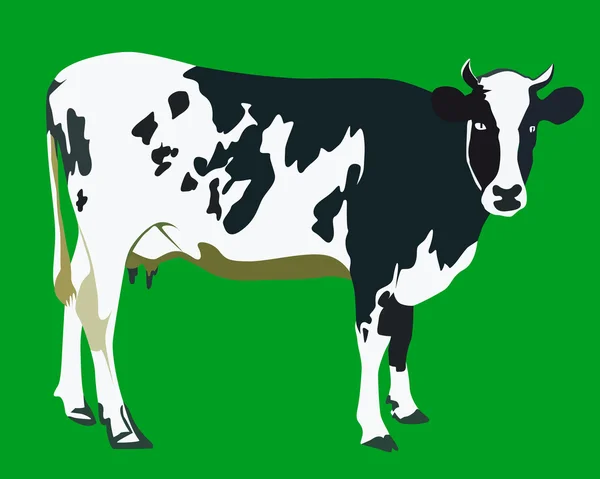 Vache tachetée — Image vectorielle