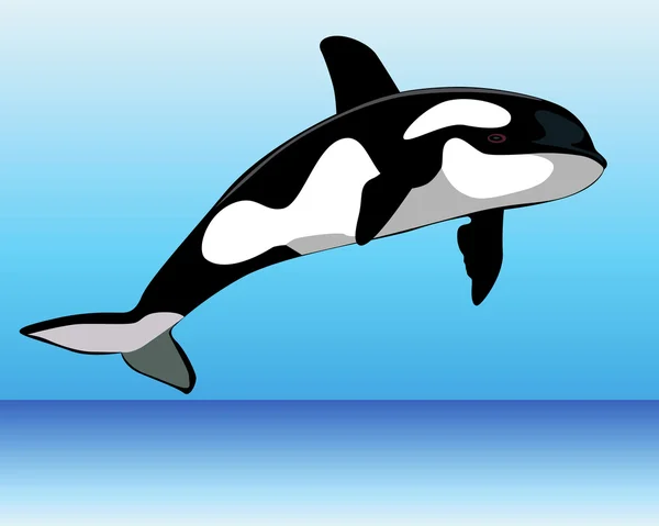 Katil balina ve suyun — Stok Vektör