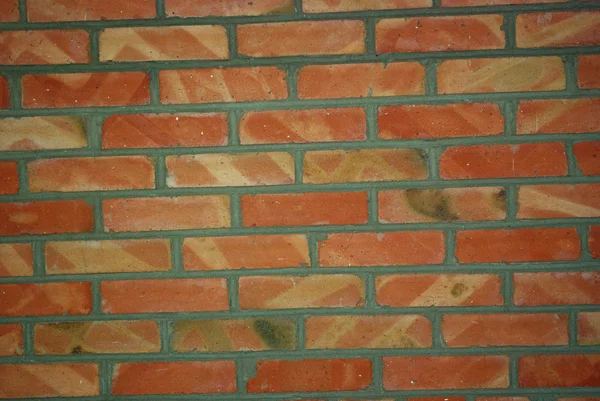 Mur doublé de briques rouges — Photo