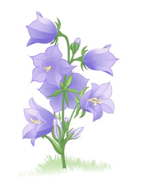 Bluebells blooming clipart