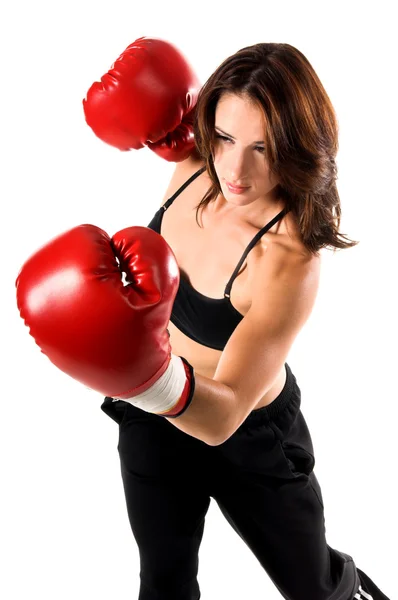 Female Boxer Stock Image
