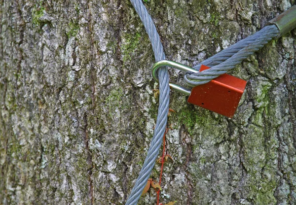 Kunci dan Kabel — Stok Foto