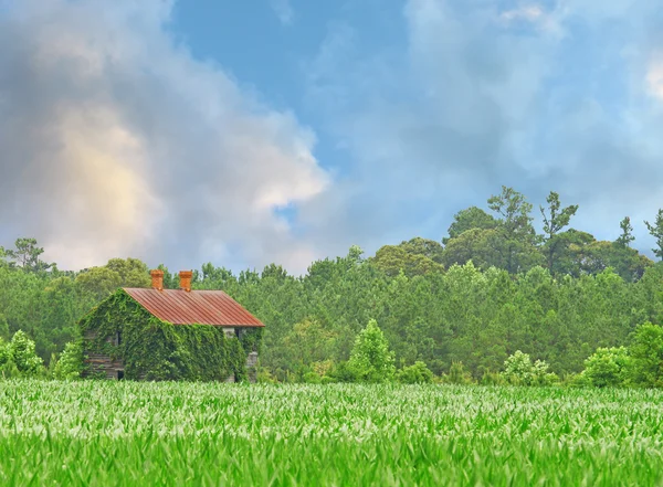 農場の家 — ストック写真
