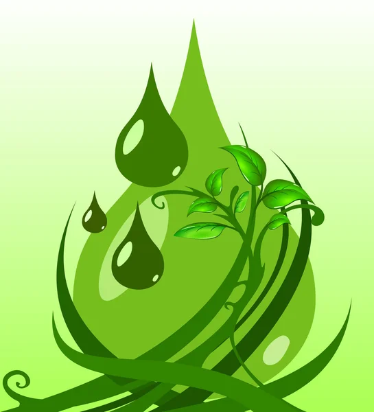 Zelené listy s kapkami vody — Stockový vektor