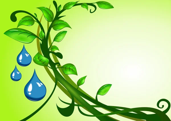 Hojas verdes con gotas de agua — Vector de stock